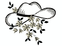 Cowboy Hat And Flower Free Embroidery Design #162