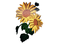 Yellow Sunflower Free Embroidery Design #214