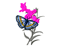 Butterfly And Flowers Free Embroidery Design #500