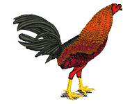 Rooster Free Embroidery Design #760