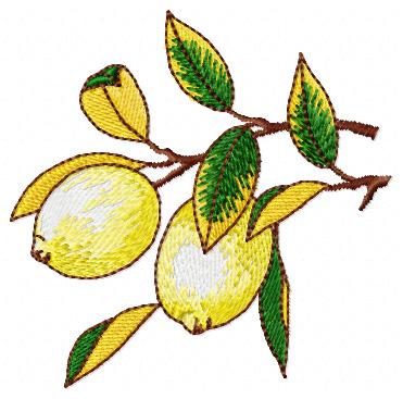 Lemon Tree Free Embroidery Design 1422