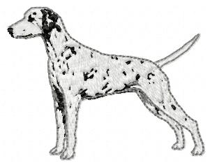 Dalmatian Dog Free Embroidery Design 1447