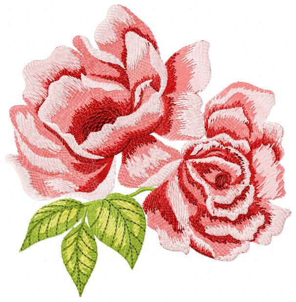 Two Pink Roses Free Embroidery Design 1454