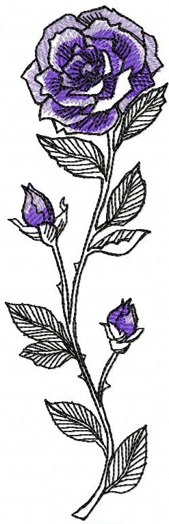 Rosa Free Embroidery Design