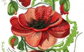 Red Flowers Free Embroidery Design