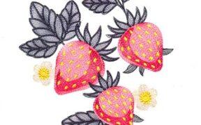 Strawberry Fruit Free Embroidery Design