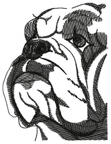 Buldog Free Embroidery Design